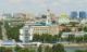 городские животные: природа